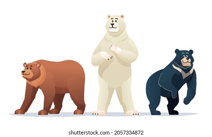 Diferentes tipos de ilustraciones de dibujos animados de osos