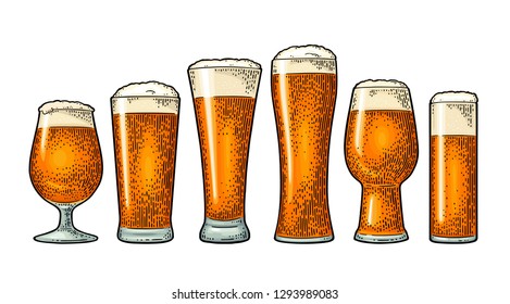 Different types beer glasses. Vintage color vector engraving illustration. Isolated on white background.