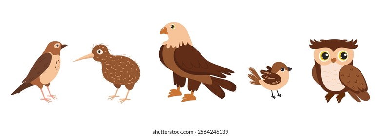 Different types of birds in a cartoon style with unique characteristics and colors