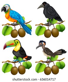 Different types of birds on kiwi branch illustration