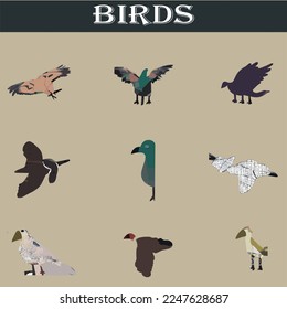 Different types of birds vector file