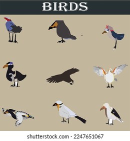 Different types of birds vector file
