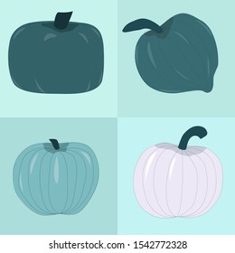 Different types of blue pumpkins. Unique varieties of winter/fall squashes. Vector Illustration.