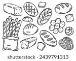 Different types of bread outline. Bread engraving, line art vector illustration. Wheat products, baked goods, bakery, pastry