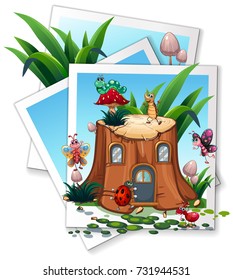 Different types of bugs in garden illustration