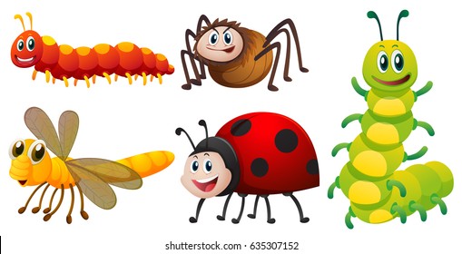 Different types of bugs on white background illustration