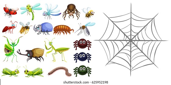 Different types of bugs and spiderweb illustration