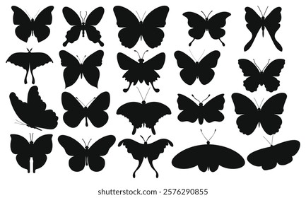 Different types of Butterfly Silhouettes Collection