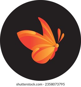 Different types of butterfly  vector.