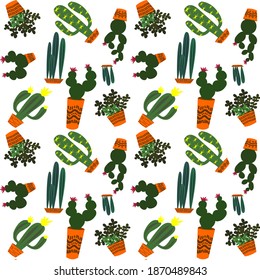 Different types of cacti with flowers in pots.