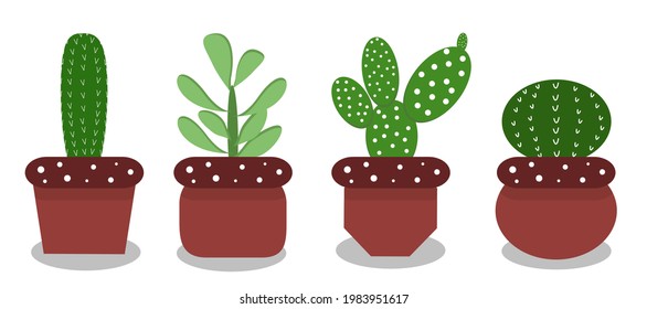 Different types of cactus in brown pots on a white background. Vector set illustration.