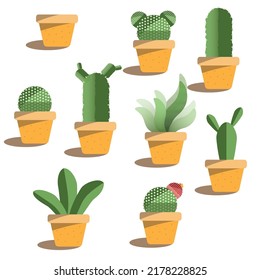 Different types of cactus easy to grow