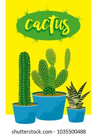 different types of cactus on a yellow background