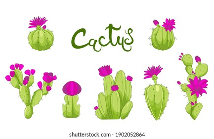 Different types of cactus plants decorative icons set isolated vector illustration. Cartoon cactus set. Vector set of bright cacti. Colored, bright cacti flowers. Cactus lettring. Cactus pink flowers