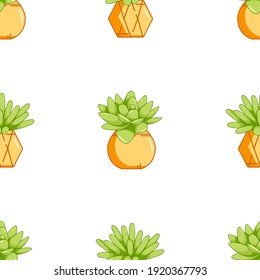 Different types of cactus plants decorative icons set isolated vector illustration. Pattern cactus. Vector set of bright cacti. Colored, bright cacti flowers. Cactus lettring. Cactus flowers in pot	