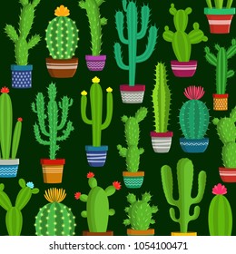 Different types of cactus plants in flowerpots.