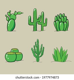 Different types of Cactus plants on Desert 