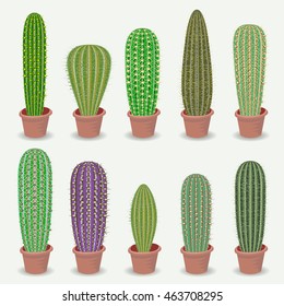 Different types of cactus plants realistic decorative icons set Isolated vector illustration..
