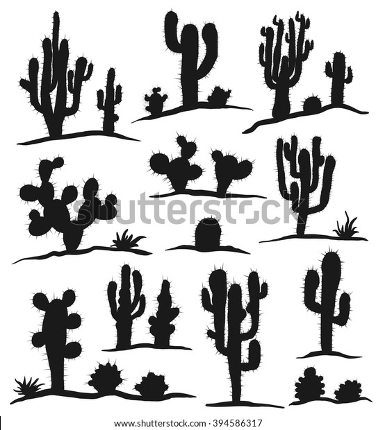 Different Types Cactus Plants Realistic Decorative Stock Vector ...