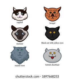 Different types of cats, Mascot cat logo, Vector.