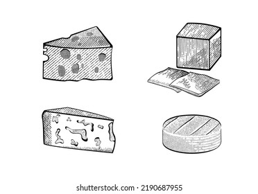 Different types of cheese, pencil illustration. Cheese sketch