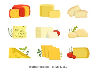 Different types of cheese pieces, popular kind of cheese vector Illustrations