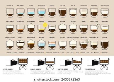 Different types of coffee drinks. Infographic on types of coffee, proportions and their preparation coffee drinks. Coffee portafilter infographic. Cafe menu. Vector illustration.