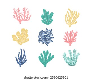 Different types of colorful corals and algae elements set. Underwater plants and animals icon set. Seaweeds and other ocean floor or aquarium life motifs.