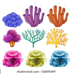 Different types of coral reef illustration