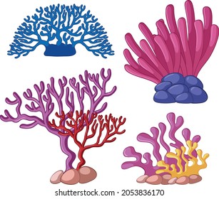 different types coral reef vector set