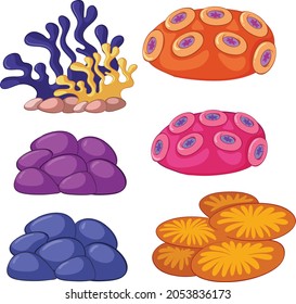 different types coral reef vector set