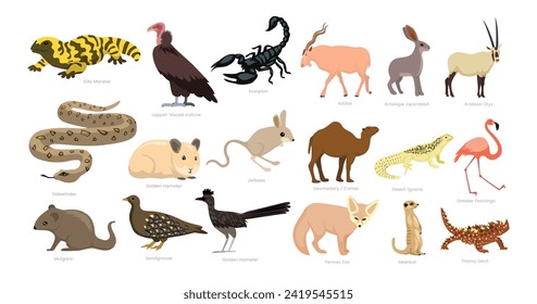 Diferentes tipos de animales del Desierto Colección de dibujos animados, varias especies de hábitat calientes fauna silvestre, ilustración vectorial, adecuado para la educación Afiche guía infográfica catálogo plano