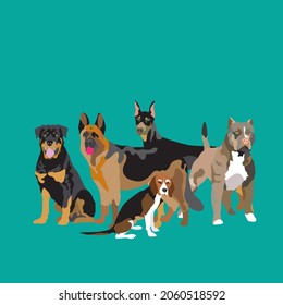 Different types of dog breeds in a green background
