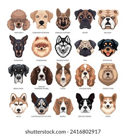 Diferentes tipos de colección de conjuntos de cabezas de perro, razas de perros domésticos e híbridos, caricatura de perros de cara de avatar, ilustración vectorial, adecuado para el catálogo de guías infográficas de afiches de educación, estilo plano.