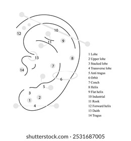 Diferentes tipos de piercing na orelha. Ilustração de elementos infográficos vetoriais. Dia internacional do piercing do corpo. Imagem de arte-final