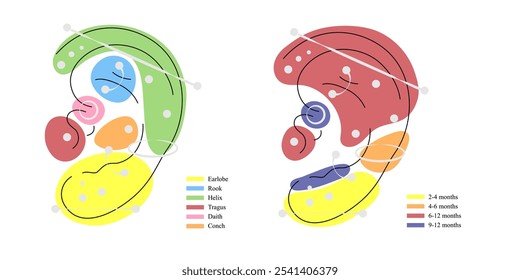 Different types of ear pierced. Vector infographic elements illustration. International body piercing day. Line art picture