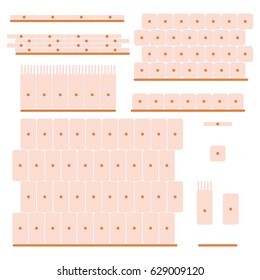 Different types of epithelial tissue collection. Stock vector illustration of human body cells forming organs. Medicine and biology collection