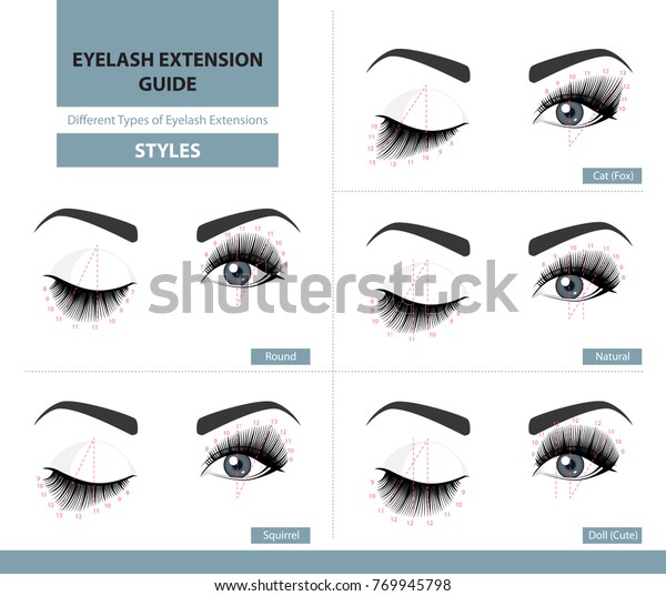 Different Types Eyelash Extensions Styles Most Stock Vector ...