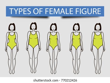 Different Types Female Figure Stock Vector (Royalty Free) 770212426 ...