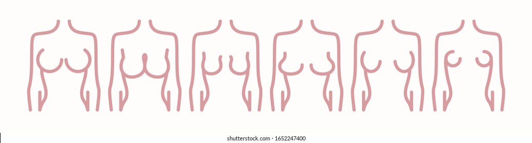 Different types of female figures. Six options for the shape of the female breast. Breast icon concept drawing line icon in modern style. Vector illustration.