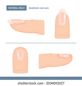 Different Types of Fingernails. Aesthetic Nail Care. Vector Illustration 