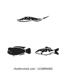 Different types of fish black icons in set collection for design. Marine and aquarium fish vector symbol stock web illustration.