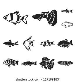 Different types of fish black icons in set collection for design. Marine and aquarium fish vector symbol stock web illustration.