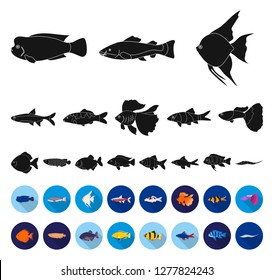 Different types of fish black,flat icons in set collection for design. Marine and aquarium fish vector symbol stock web illustration.