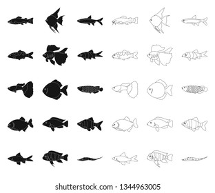 Different types of fish black,outline icons in set collection for design. Marine and aquarium fish vector symbol stock web illustration.