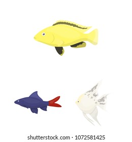 Different types of fish cartoon icons in set collection for design. Marine and aquarium fish vector symbol stock web illustration.