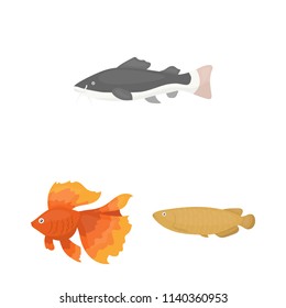 Different types of fish cartoon icons in set collection for design. Marine and aquarium fish vector symbol stock web illustration.