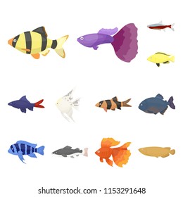 Different types of fish cartoon icons in set collection for design. Marine and aquarium fish vector symbol stock web illustration.