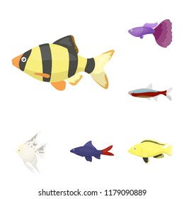 Different types of fish cartoon icons in set collection for design. Marine and aquarium fish vector symbol stock web illustration.