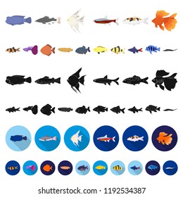 Different types of fish cartoon icons in set collection for design. Marine and aquarium fish vector symbol stock web illustration.